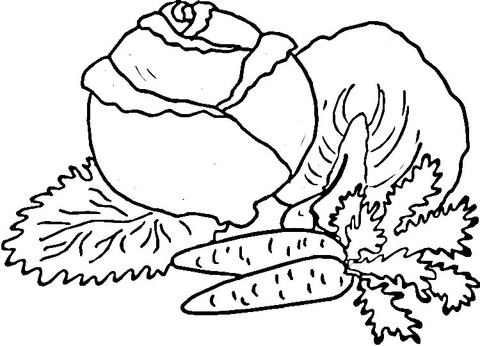 Cabbage And Carrots  Coloring Page